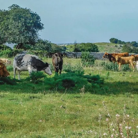 펜션 Oriental Muti *