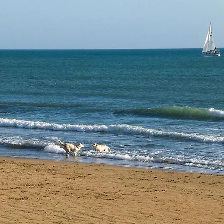 Oriental Muti 끼아라몬떼굴피